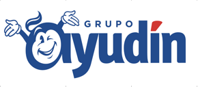 GRUPO AYUDIN ARGENTINA S. A.